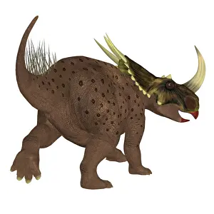 Spiked: Rubeosaurus dinosaur, rear view