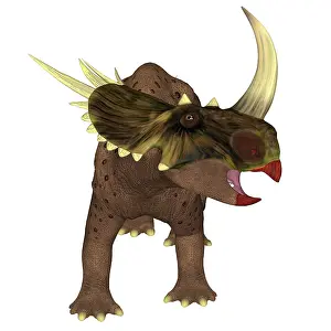 Centrosaurinae: Rubeosaurus dinosaur, front view