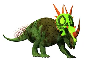 Centrosaurinae: Rubeosaurus dinosaur on white background