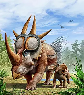 Ankylosauria: A Rubeosaurus and his offspring