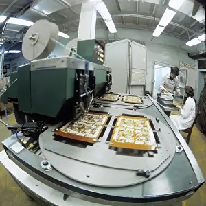 Rubin: Rubin electronics factory, 1981