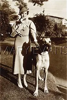 Chihuahua: RUBY KEELER/DOGS
