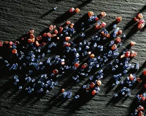 Corundum: Ruby and sapphire gravel