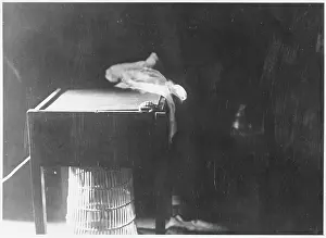 Findings: RUDI SCHNEIDER TEST