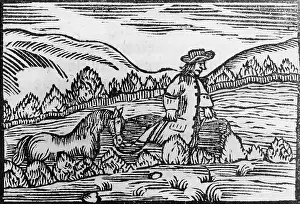 Ruebezahl: Ruebezahl