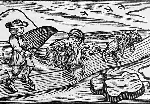 Ruebezahl: Ruebezahl