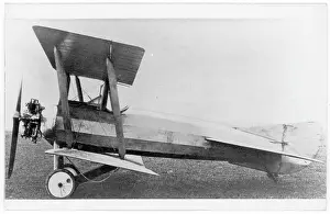 Acton: Ruffy-Bauman Advanced Trainer