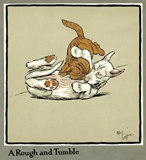 Tumble: Rufus the cat attacks Rags the puppy