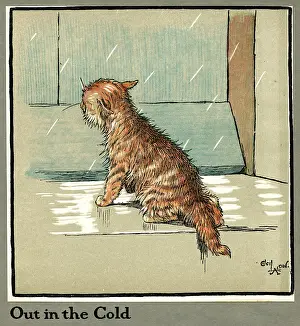 Uncomfortable: Rufus the cat out in the cold and rain