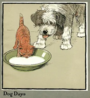 Shaggy: Rufus the cat drinks from a bowl, watched by a dog