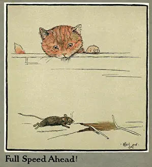 Rufus: Rufus the cat watches a mouse