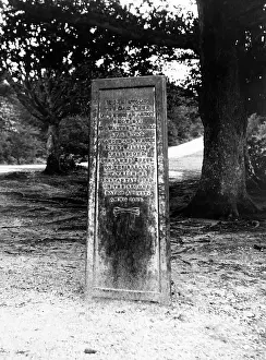 Tyrrell: THE RUFUS STONE