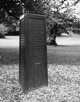 Tyrrell: THE RUFUS STONE