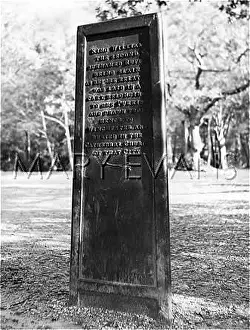 Tyrrell: THE RUFUS STONE
