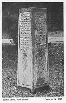 Accidental: Rufus Stone, New Forest, Hampshire