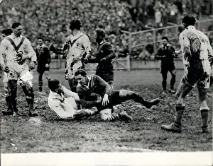 Wallowing: Rugby - Soccer