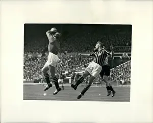 Trau: Rugby - Soccer
