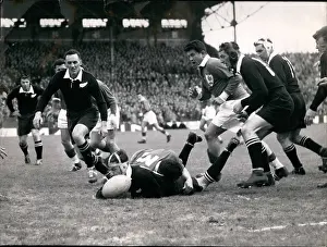 Forwards: Rugby - Soccer