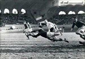 Springboks: Rugby - Soccer