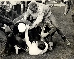 Pitched: Rugby - Soccer