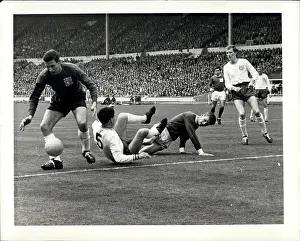 Darcy: Rugby - Soccer
