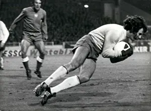 Excellent: Rugby - Soccer