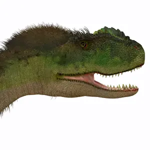Primus: Rugops dinosaur head