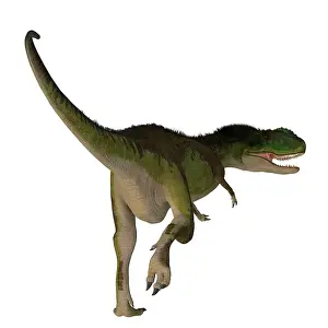 Aggressive: Rugops dinosaur, rear view on white background