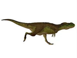 Primus: Rugops dinosaur, side view