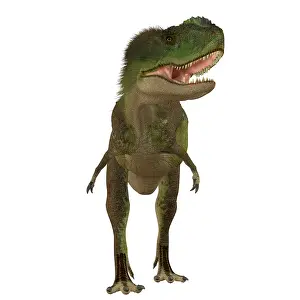 Primus: Rugops dinosaur, front view