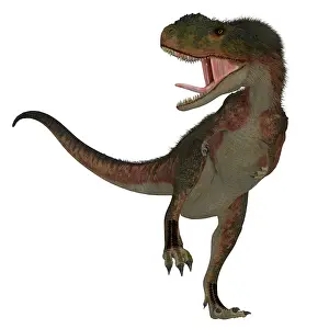 Menacing: Rugops dinosaur, front view on white background