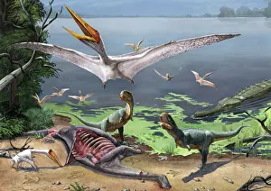 Alligator: Rugops primus dinosaurs and Alanqa pterosaurs mortify a ?