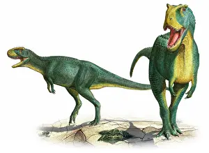 Primus: Rugops primus, a prehistoric era dinosaur