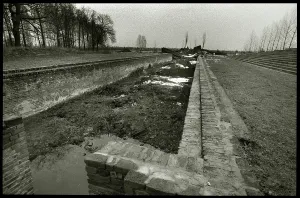Morbid: Ruin Auschwitz-Birkenau