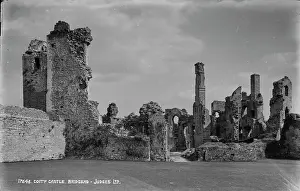 Preservation: Ruins of Coity Castle