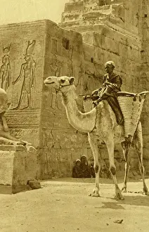 Dendera: Ruins of Hathor Temple, Dendera, Egypt