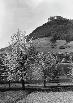 Orchard: The ruins of the Hohenneuffen Castle, 1930s