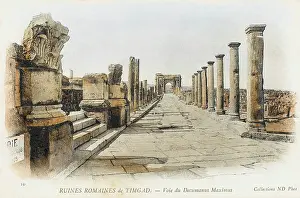 Decumanus: Ruins of Timgad, Algeria