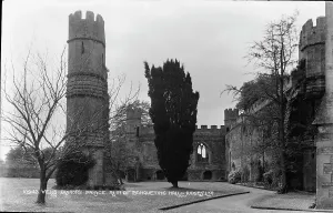 Grassy: Ruins of Wells Bishop's Palace