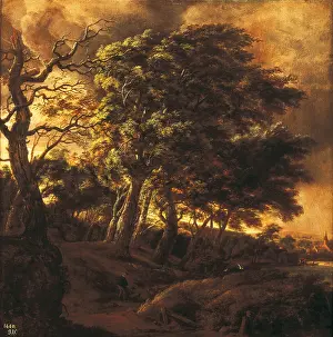 Ruisdael: RUISDAEL, JACOB VAN (1628-1682)