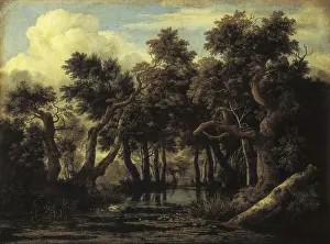 Sombre: Ruisdael, Jacob van (1628-1682). The Marsh. Baroque