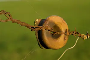 Necks: Rum Jars