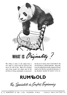 Rumbold Aircraft Seating