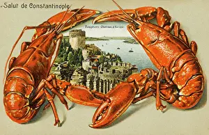Lobsters: Rumeli Hisari, Constantinople