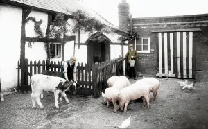 Runcorn: Runcorn, Feeding the Animals 1929