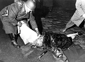 Amok: Running amok of jealousy in Vienna 1967