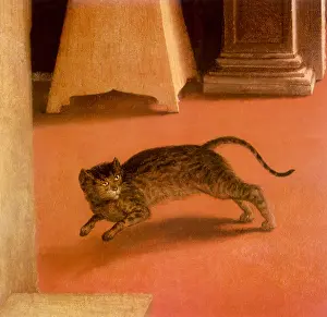 Approaches: Running Cat
