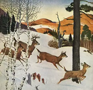 Kuhn: Running Deers