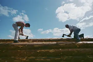 Resident: Rural construction