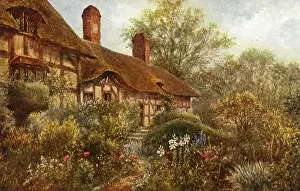 Comfortably: Rural Cottage